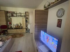 Pantelimon, Delfinului