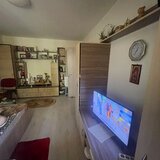 Pantelimon, Delfinului